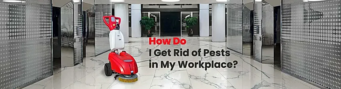 How to Get Rid of Insects at Work and at Home? Effective Solution with Floor Cleaning How to Get Rid of Insects at Work and at Home? Effective Solution with Floor Cleaning