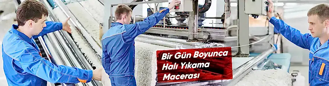 Halı Yıkamacı: Bir Gün Boyunca Halı Yıkama Macerası Halı Yıkamacı: Bir Gün Boyunca Halı Yıkama Macerası