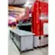 Otomatik Halı Yıkama Makinesi Dass EXPERT 2600P